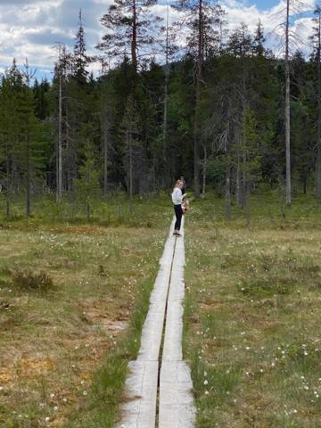 Photo of Others in Syote