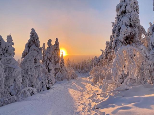 Photo of Others in Syote