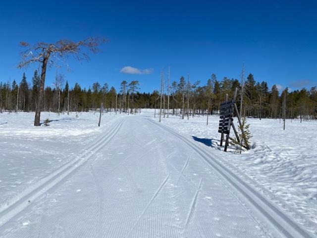 Photo of Others in Syote
