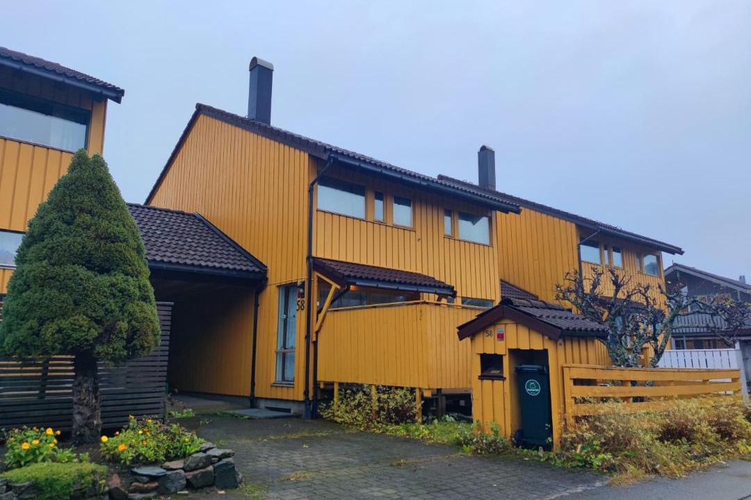 Photo of Others in Trondheim