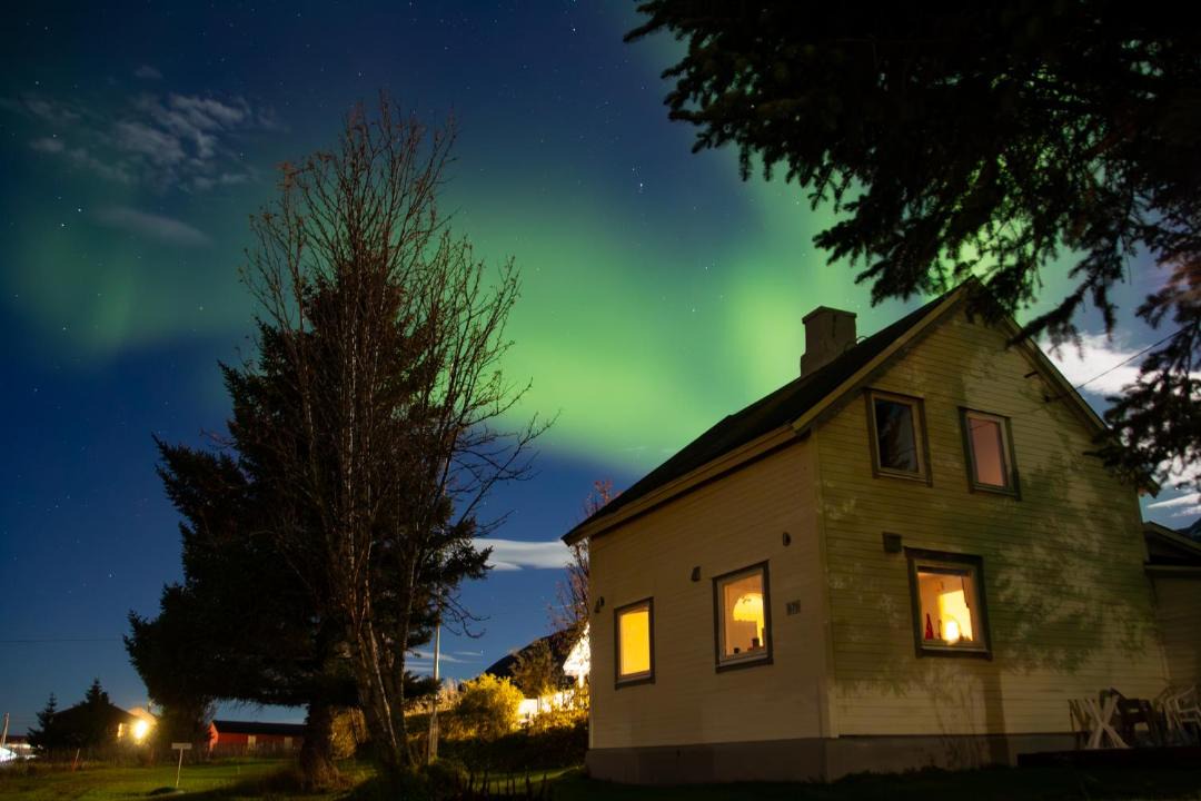 Photo of Others in Lyngen
