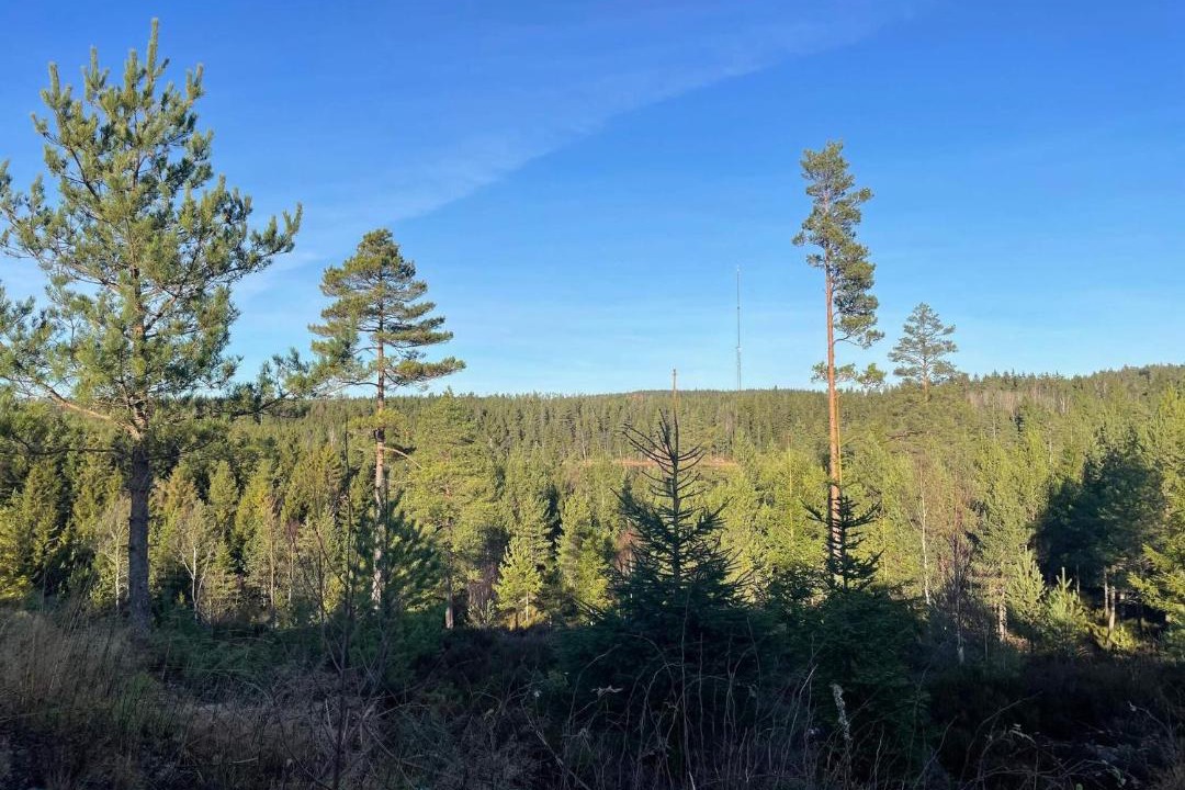 Photo of Others in Backefors