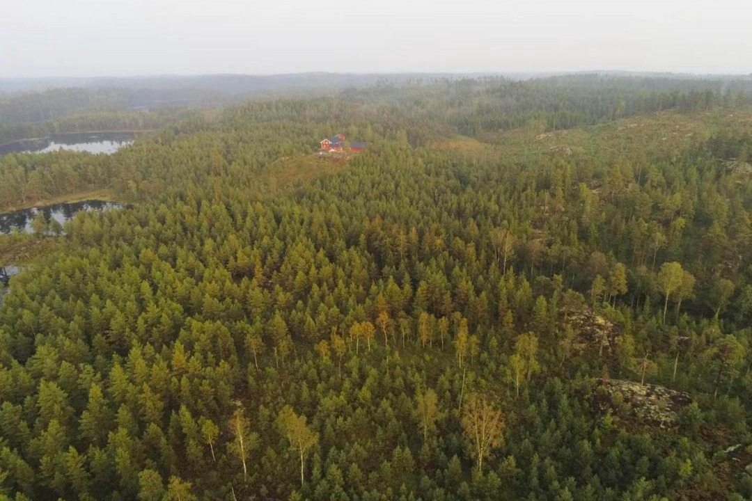 Photo of Others in Backefors