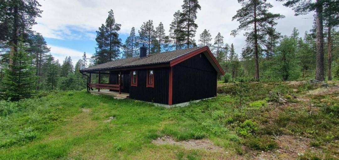 Photo of Others in Lofsdalen