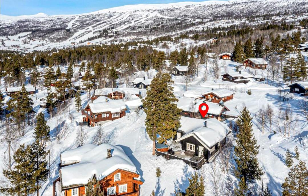 Photo of Others in Bjorli