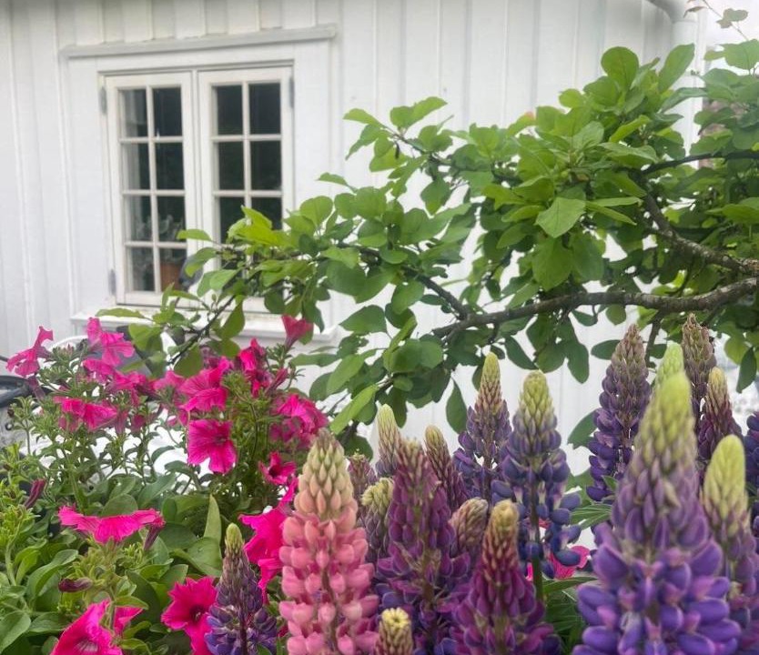Photo of Others in Lillesand
