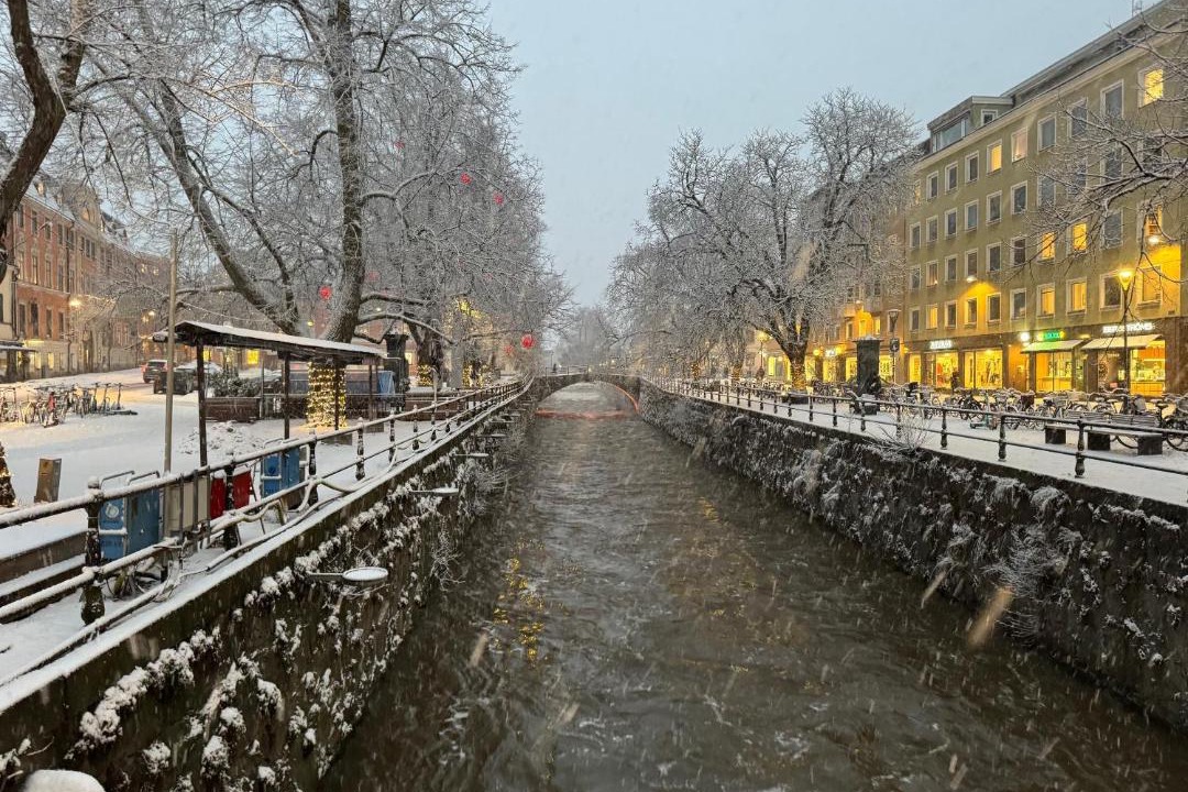 Photo of Others in Uppsala
