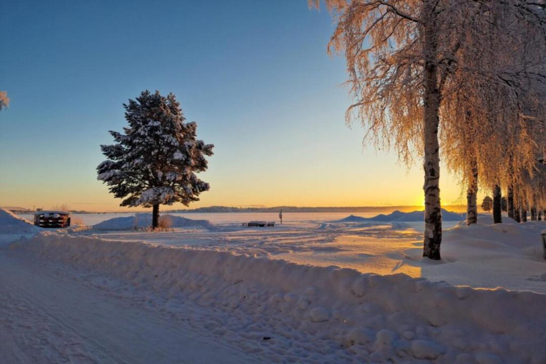 Photo of Others in Karlsvik