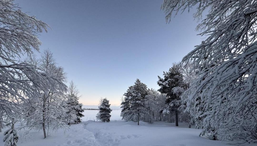 Photo of Others in Inari