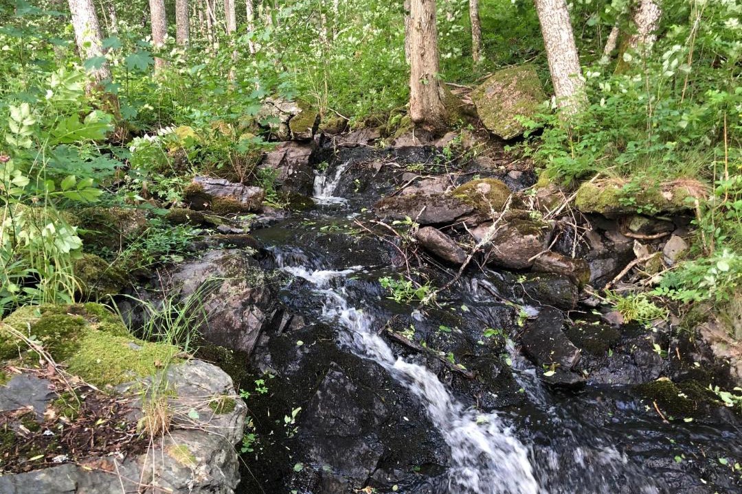 Photo of Others in Dalskog