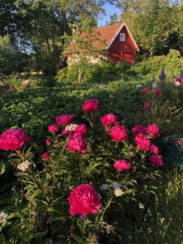 Photo of Others in Ljungbyhed