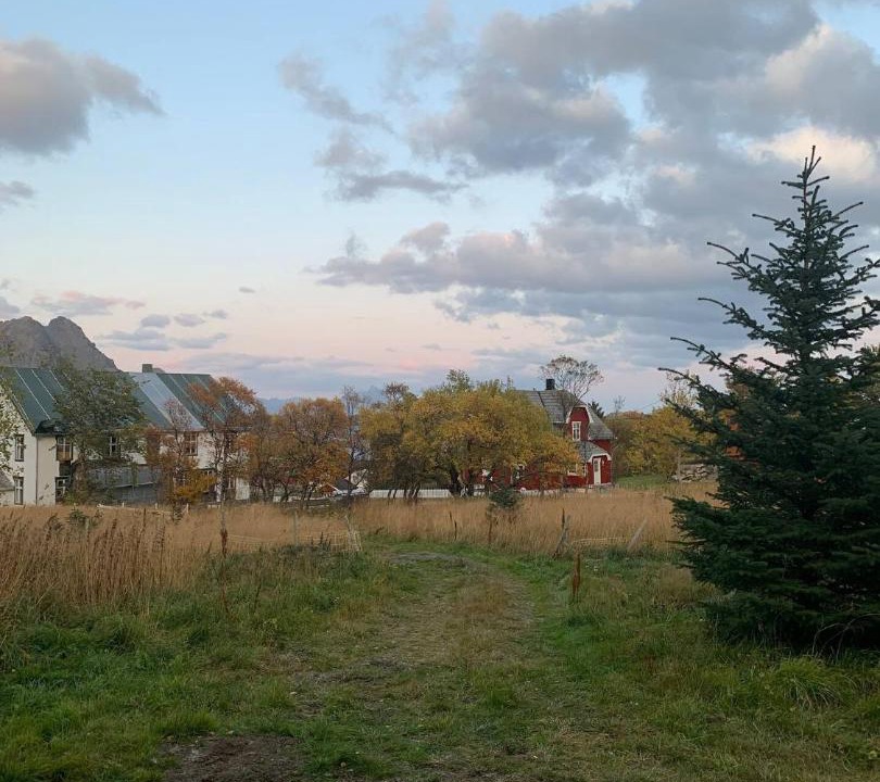 Photo of Others in Vestvagøy
