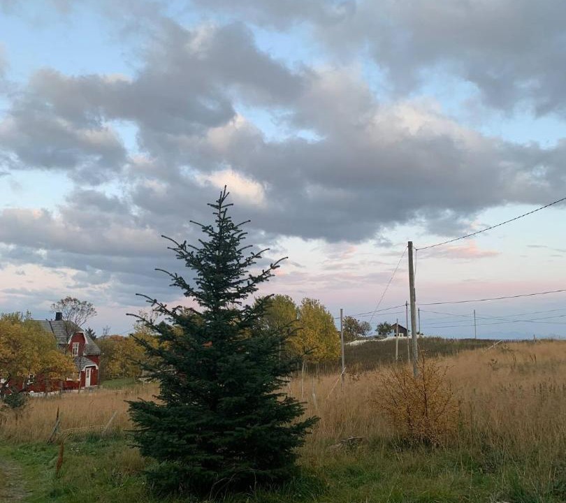 Photo of Others in Vestvagøy