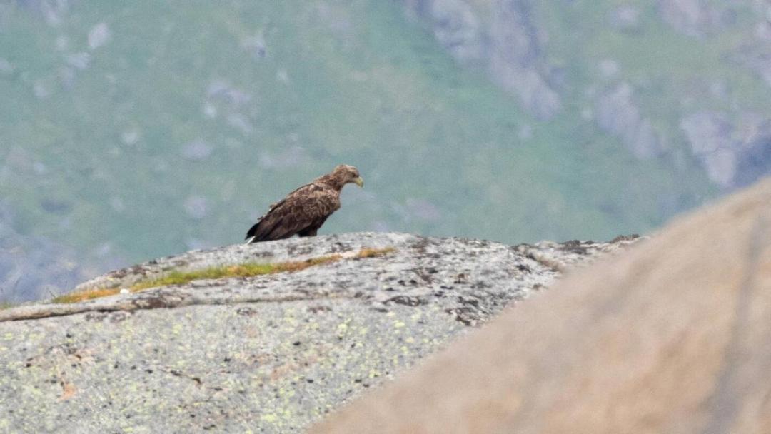 Photo of Others in Valberg