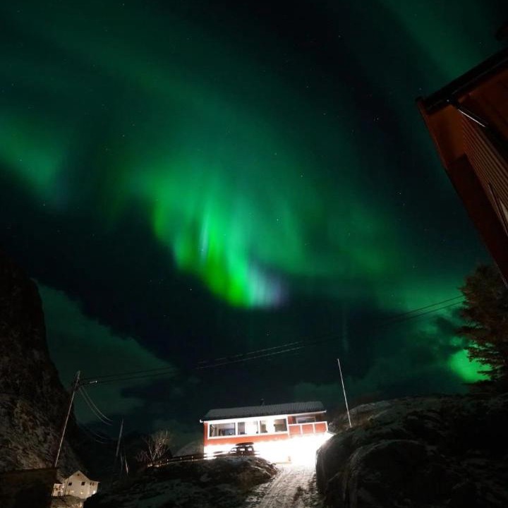 Photo of Others in Hamnøya