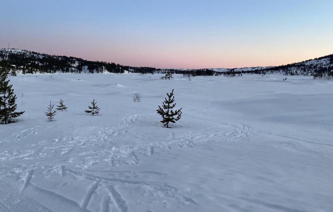 Photo of Others in Nissedal