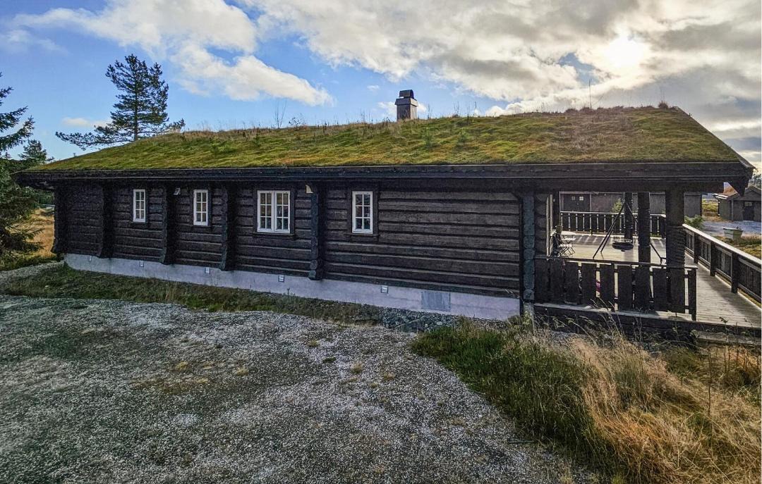 Photo of Others in Nissedal