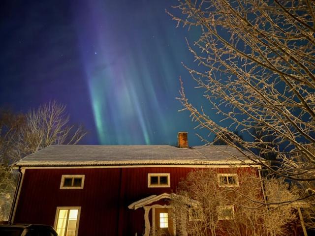 Photo of Others in Ljusdal