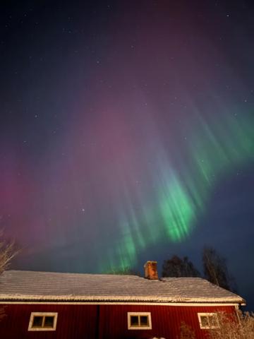 Photo of Others in Ljusdal
