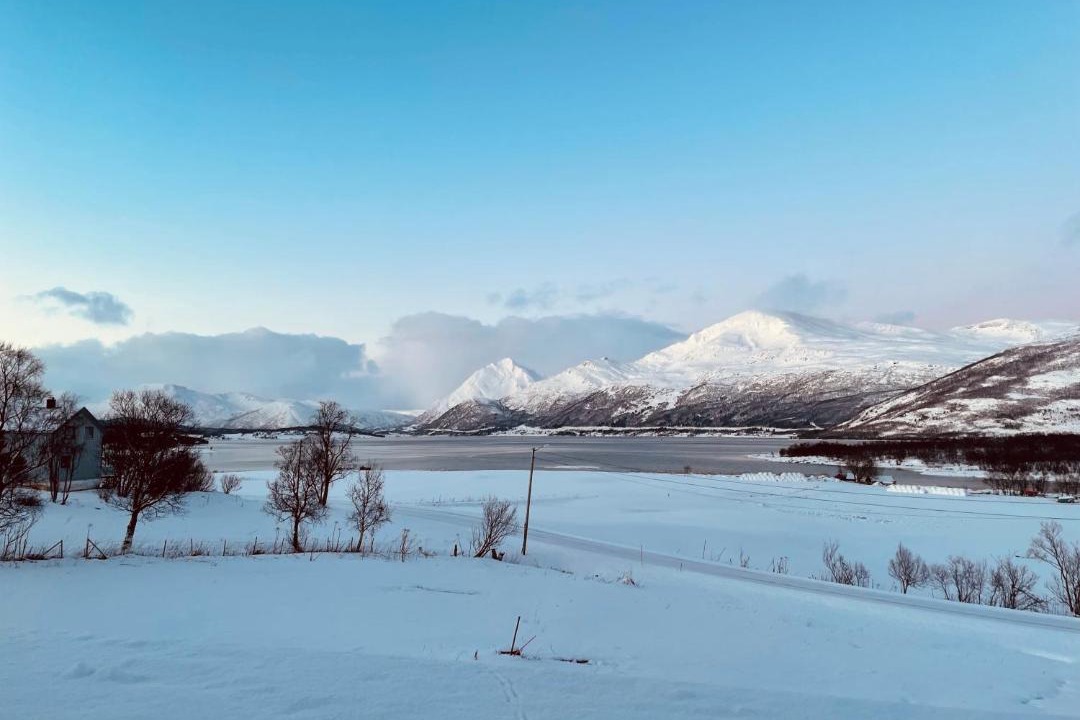 Photo of Others in Tjeldsund