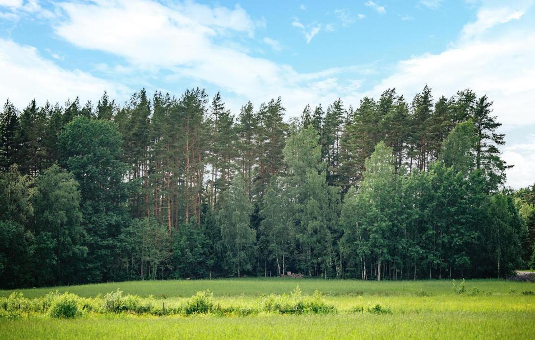Photo of Others in Gullspang