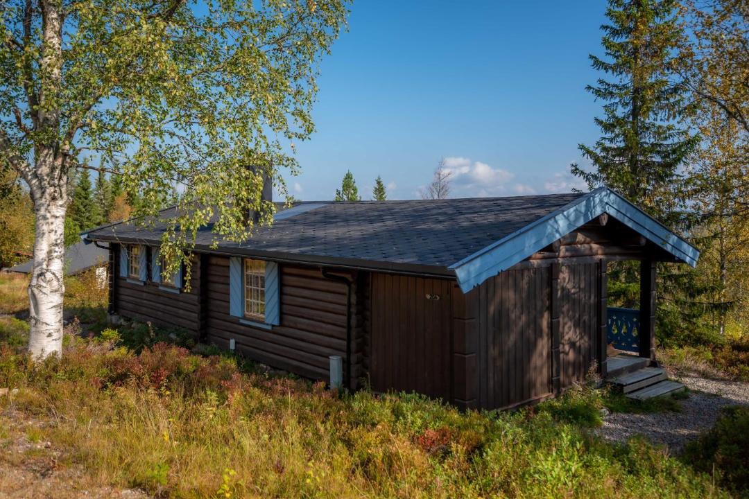 Photo of Others in Trysil