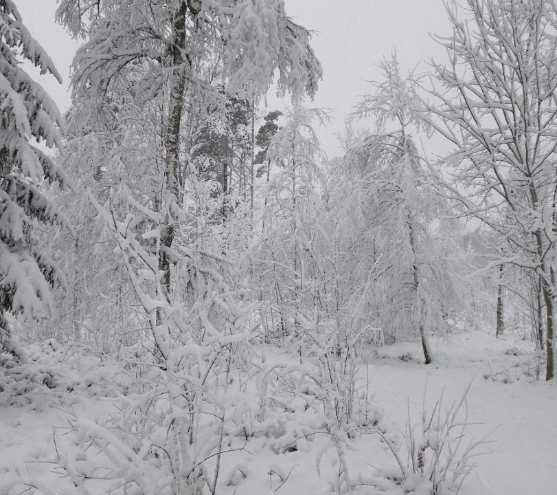 Photo of Others in Tidaholm
