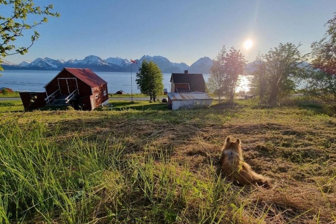 Photo of Others in Lyngen