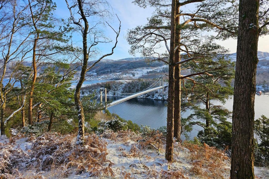 Photo of Others in Hjelmeland