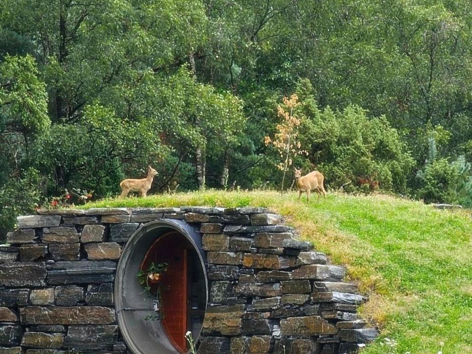 Photo of Others in Hjelmeland