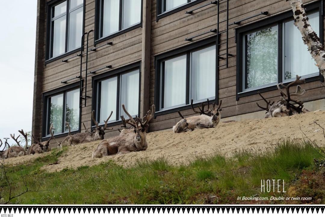 Photo of Others in Utsjoki
