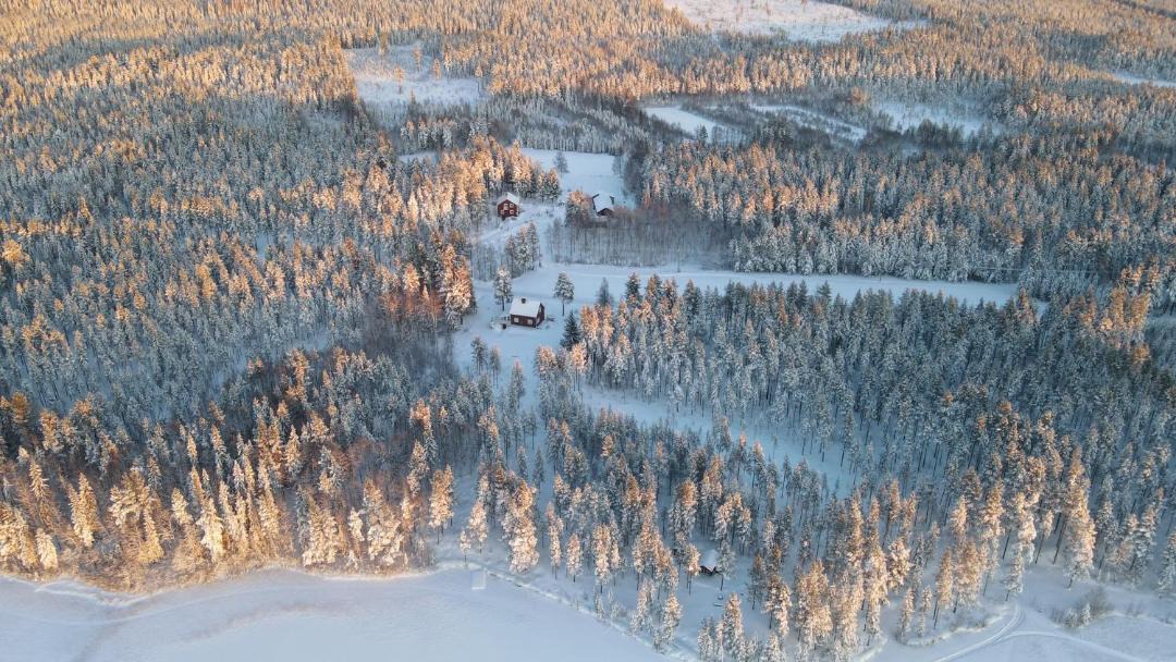 Photo of Others in Jorn