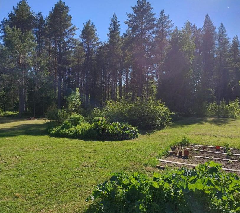 Photo of Others in Hedenaset