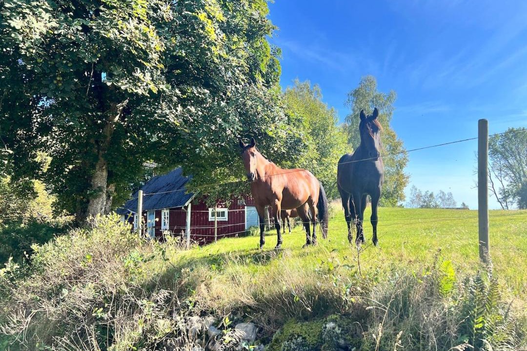 Photo of Others in Perstorp Municipality
