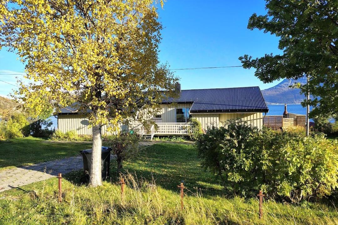 Photo of Others in Lenvik