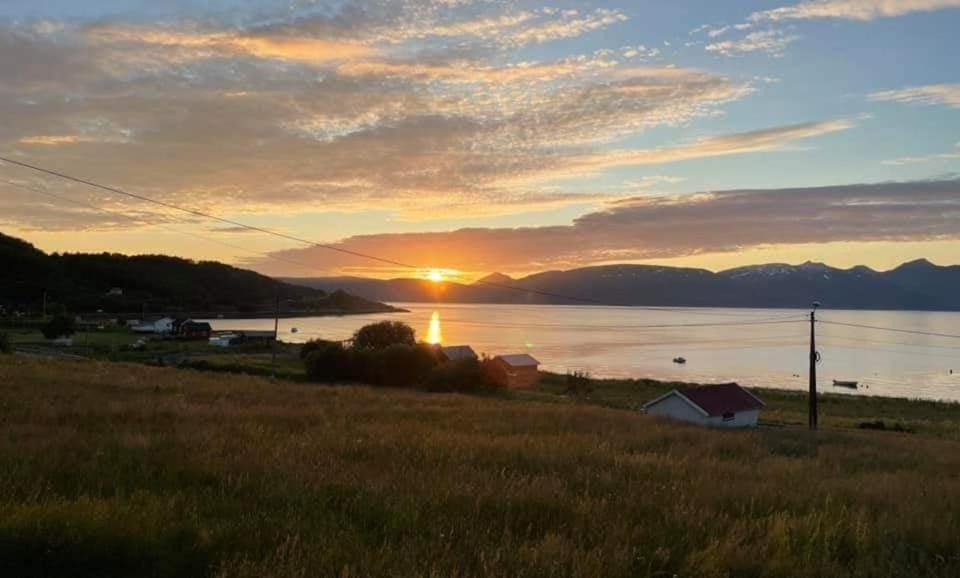 Photo of Others in Lenvik