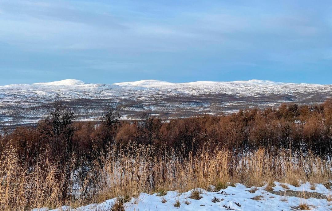 Photo of Others in Fjallnas
