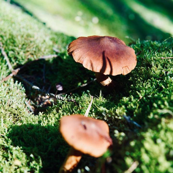 Photo of Outdoor in Grabo
