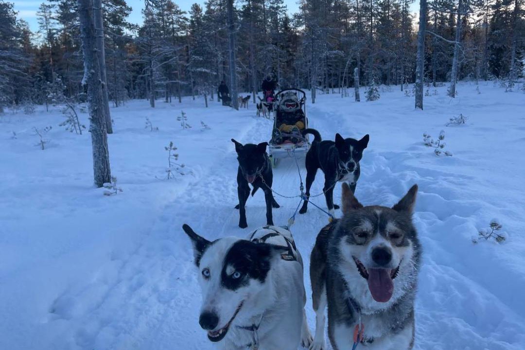 Photo of Others in Grondalen