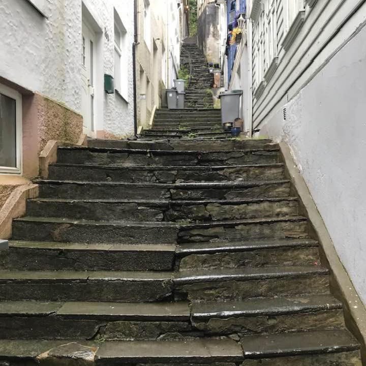 Photo of Others in Bergen City Centre