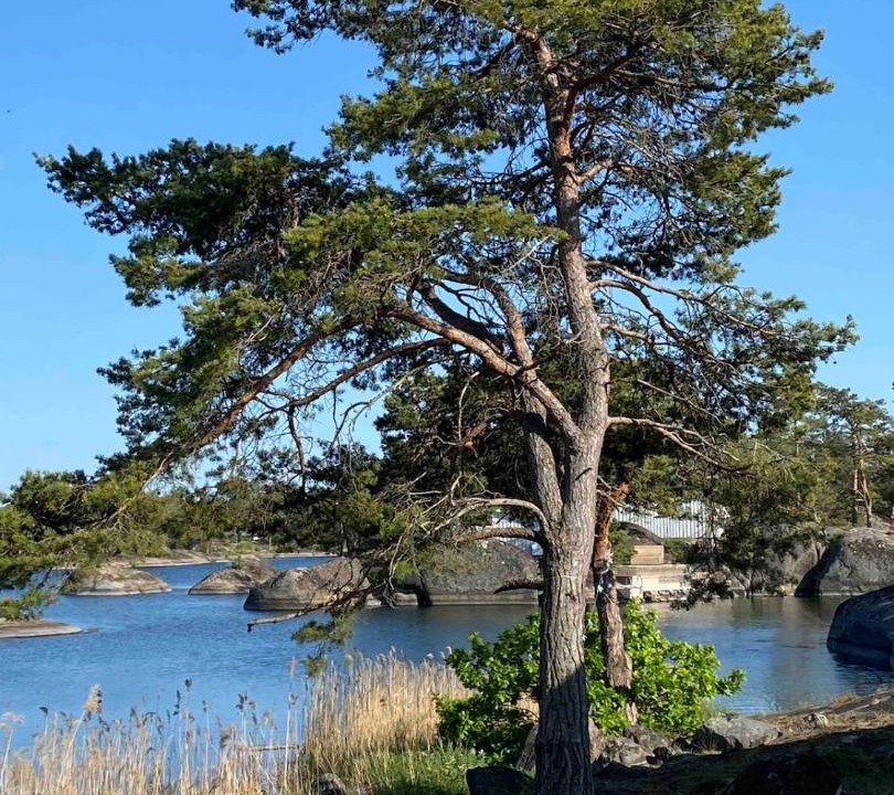 Photo of Others in Oskarshamn