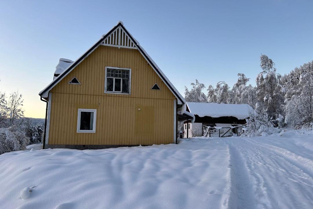 Photo of Others in Ljungaverk