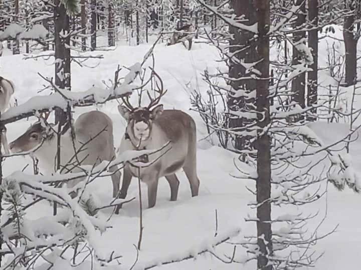 Photo of Others in Overkalix