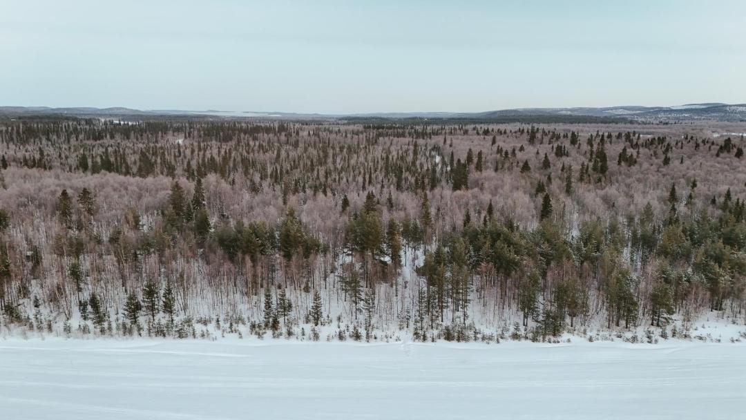 Photo of Others in Inari