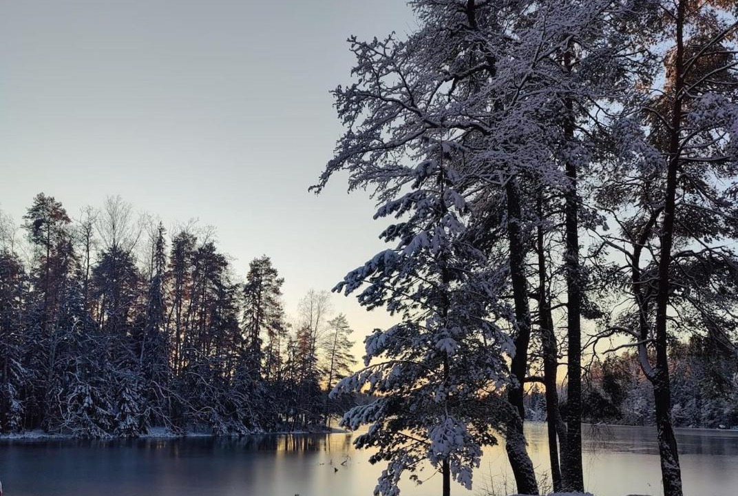 Photo of Others in Tampere
