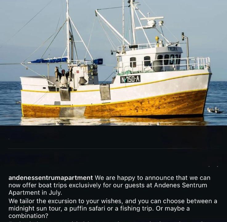 Photo of Others in Andenes
