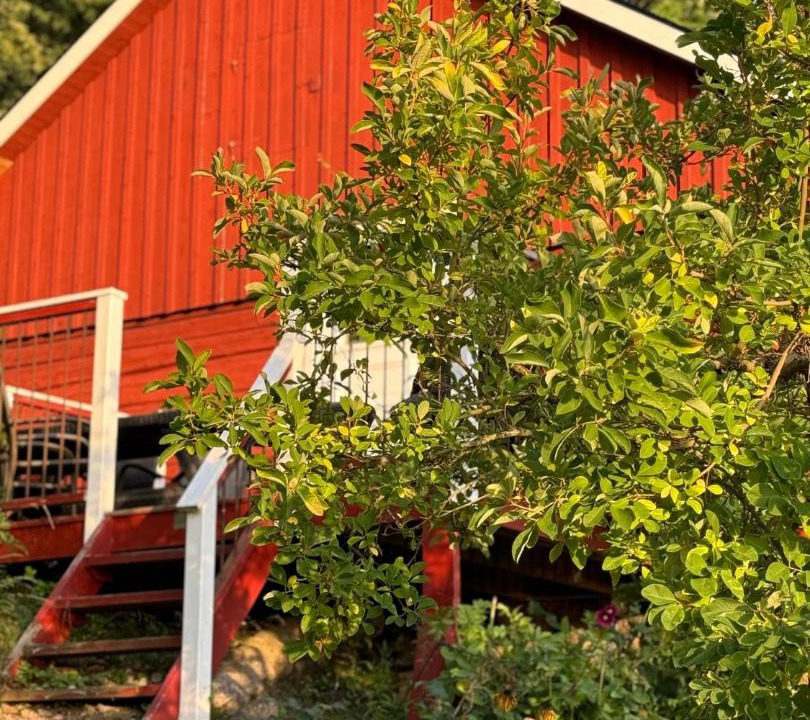 Photo of Others in Huskvarna