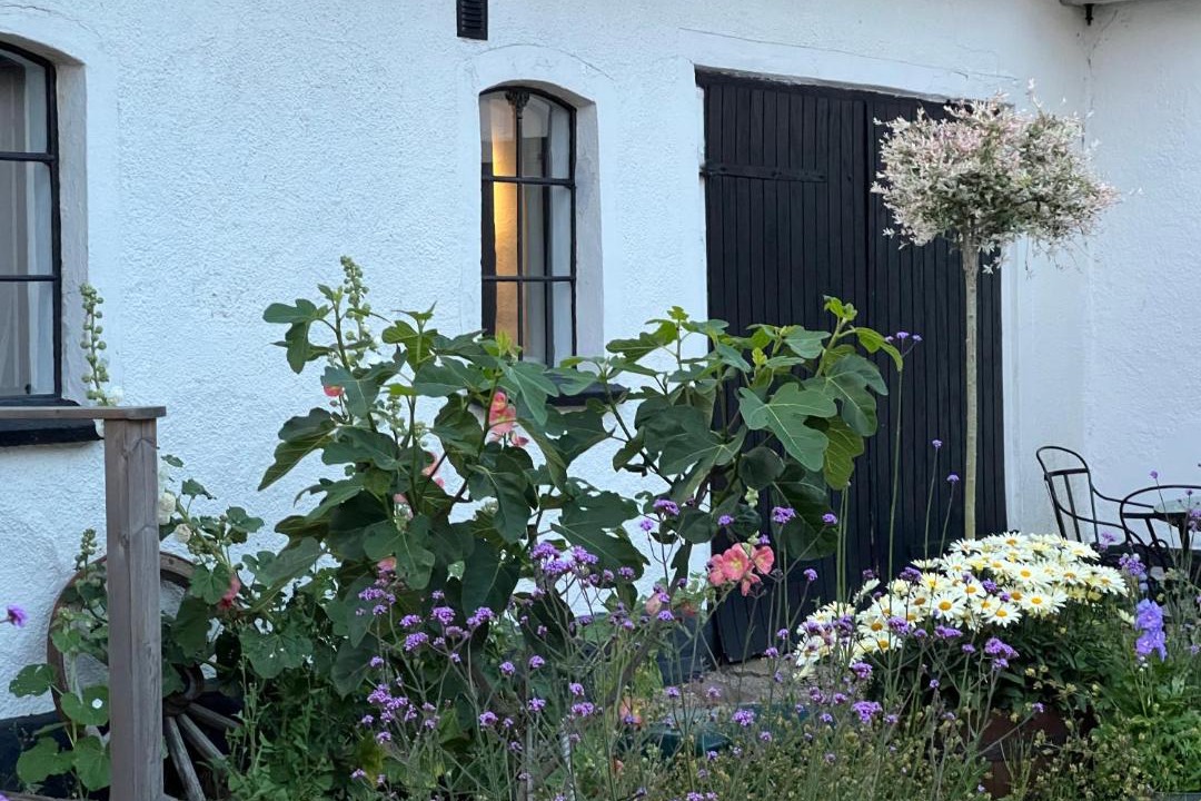 Photo of Others in Ystad