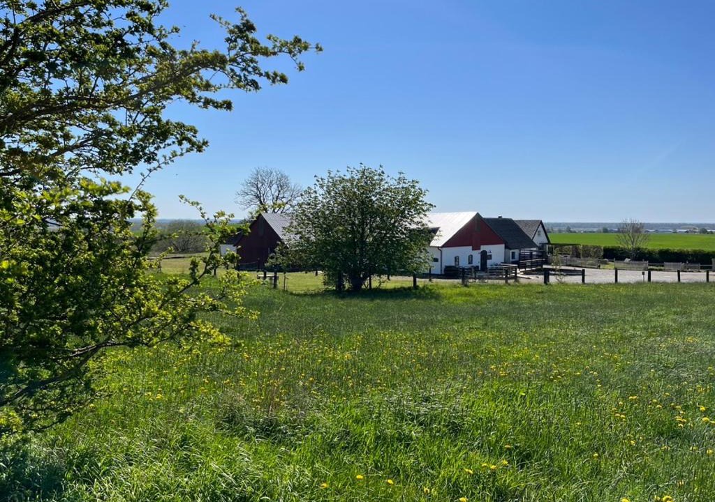 Photo of Others in Ystad