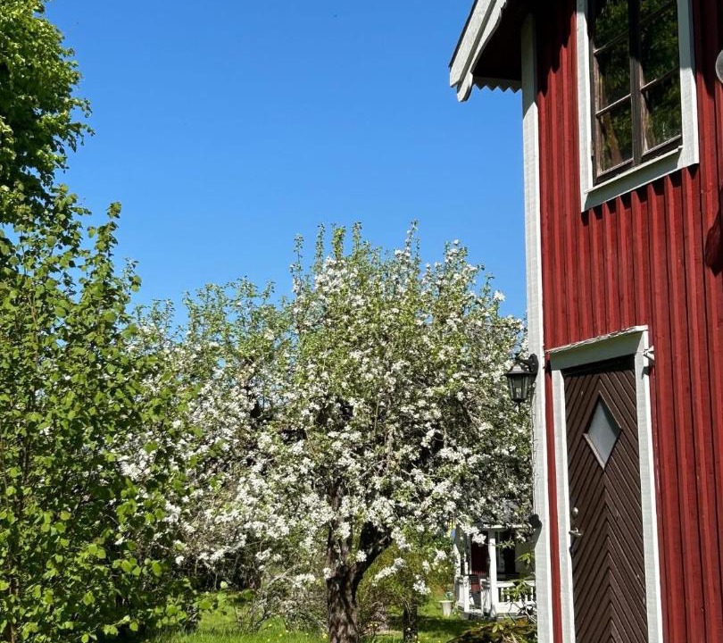 Photo of Others in Vimmerby Municipality